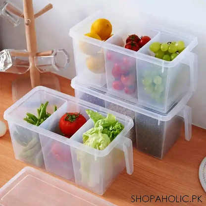 Plastic Fridge Storage Container