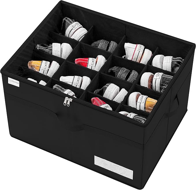 Shoe Organiser for Closet