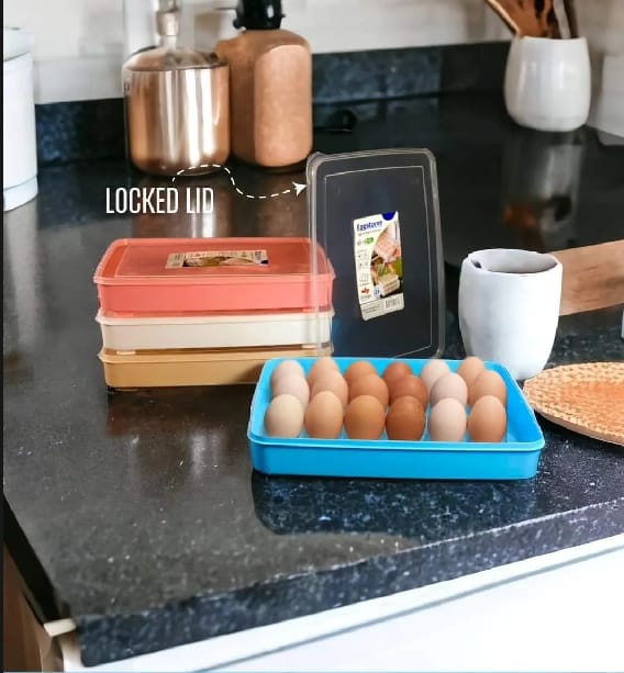 Egg Tray Refrigerator