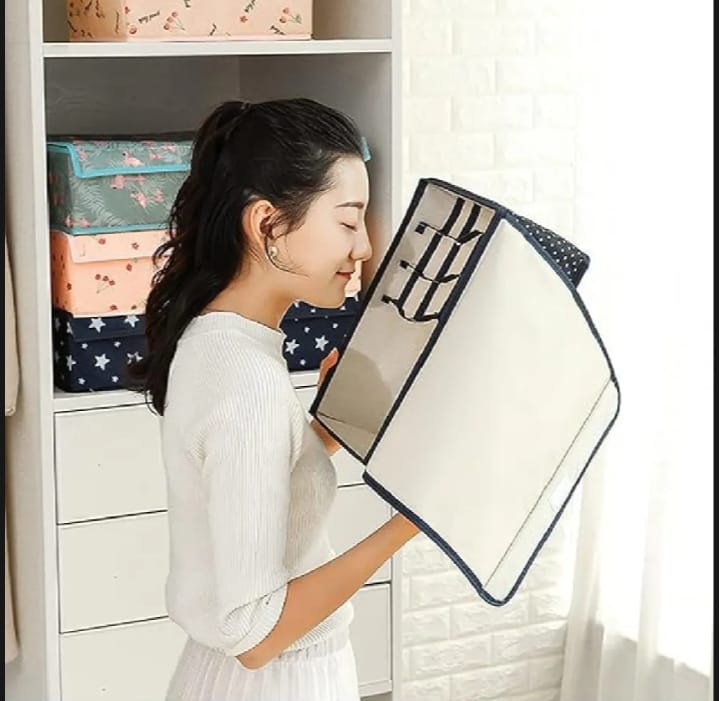 2 In 1 Undergarment Organizer Box